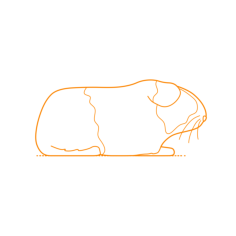 Animals Rodents Guinea Pig Cavy Stencil Svg Vector, Free Vectors File